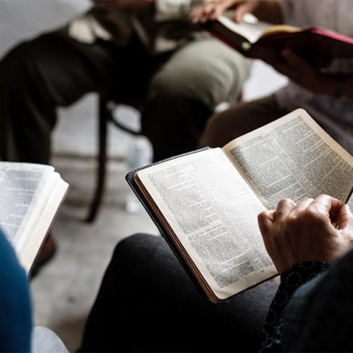 Metodologia dos Sete Princípios